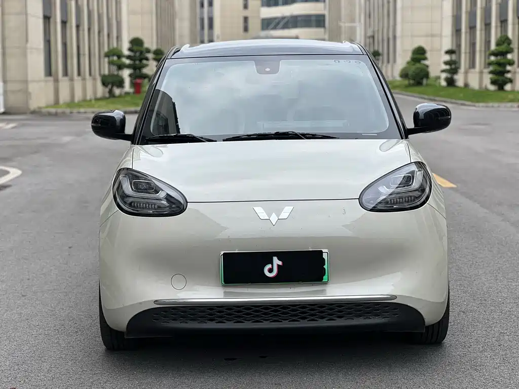 Wuling Bingo 2024