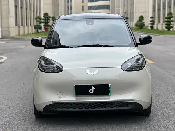Wuling Bingo 2024