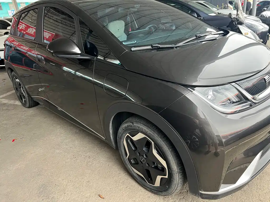 BYD Dolphin 2022