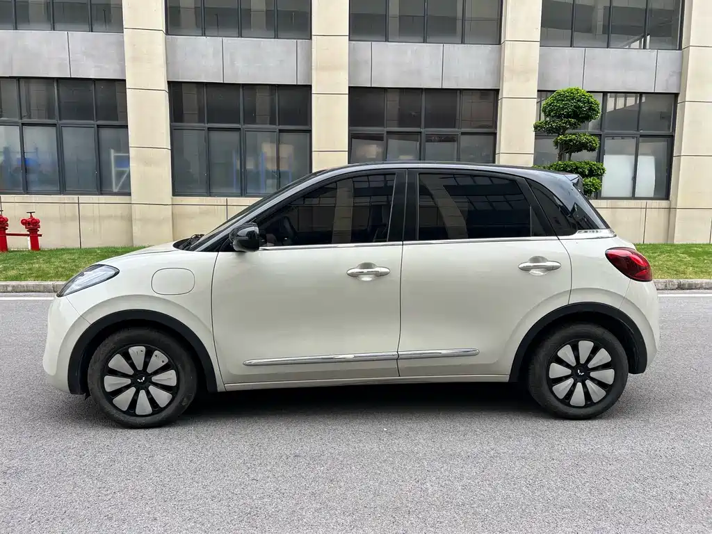 Wuling Bingo 2024