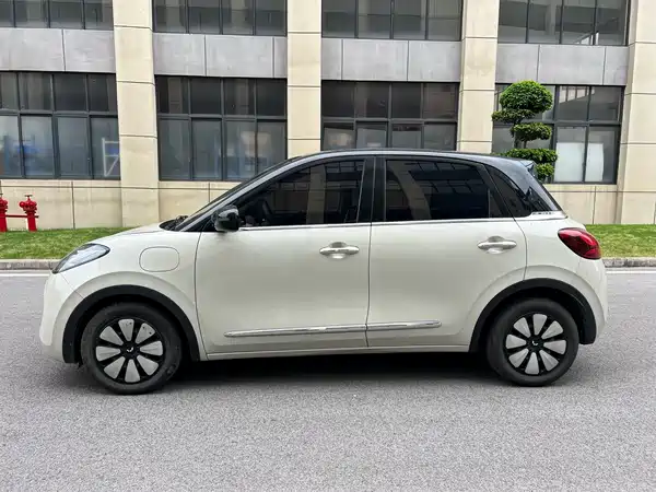 Wuling Bingo 2024