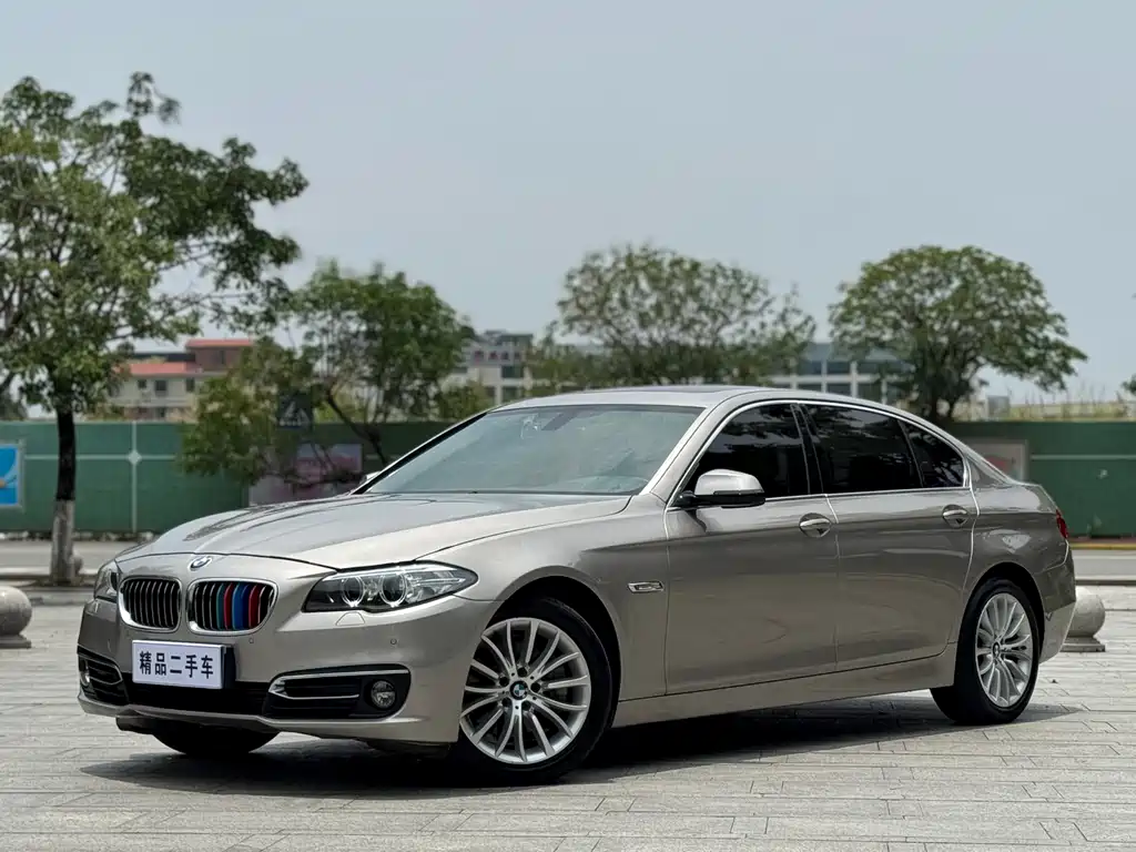 BMW 5 Series 2016 — фото 1