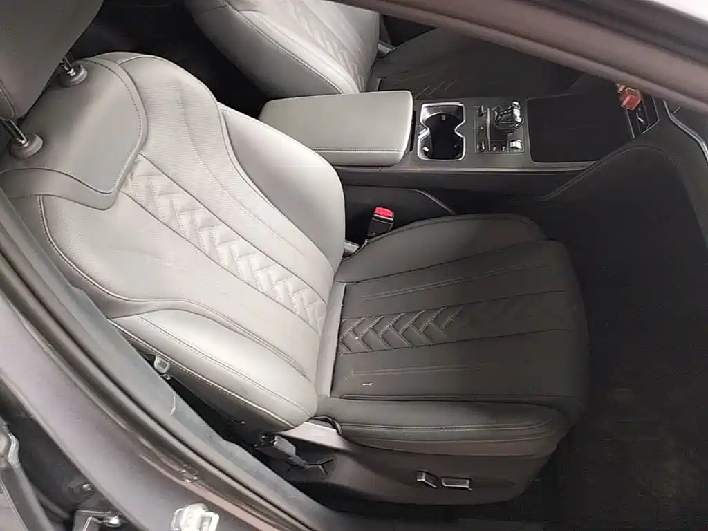 BYD Song L DM-i 2025 — фото 25