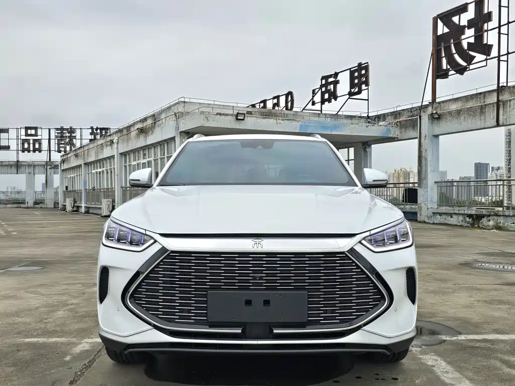 BYD PLUS New Energy 2022 — фото 2