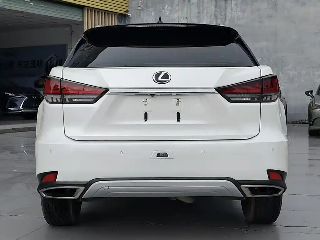 Lexus RX 2020 — фото 10