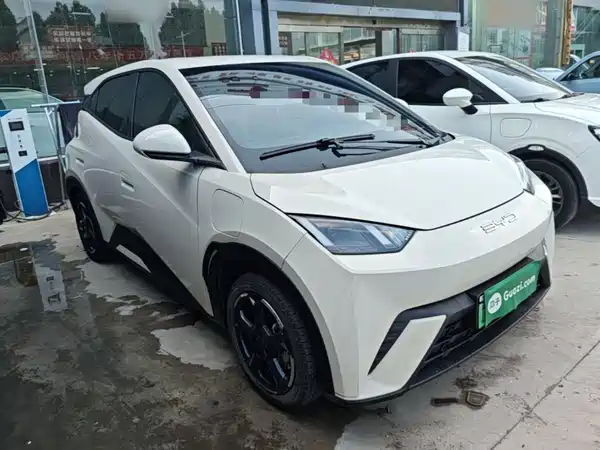 BYD Seagull 2024