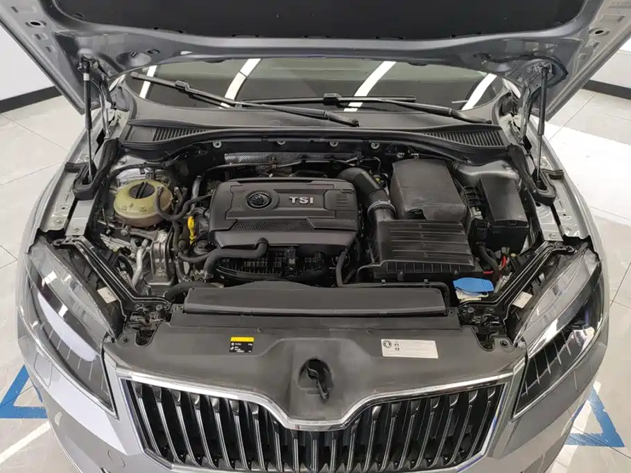 Skoda Speedy 2018 — фото 10