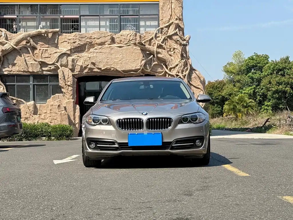 BMW 5 Series 2015