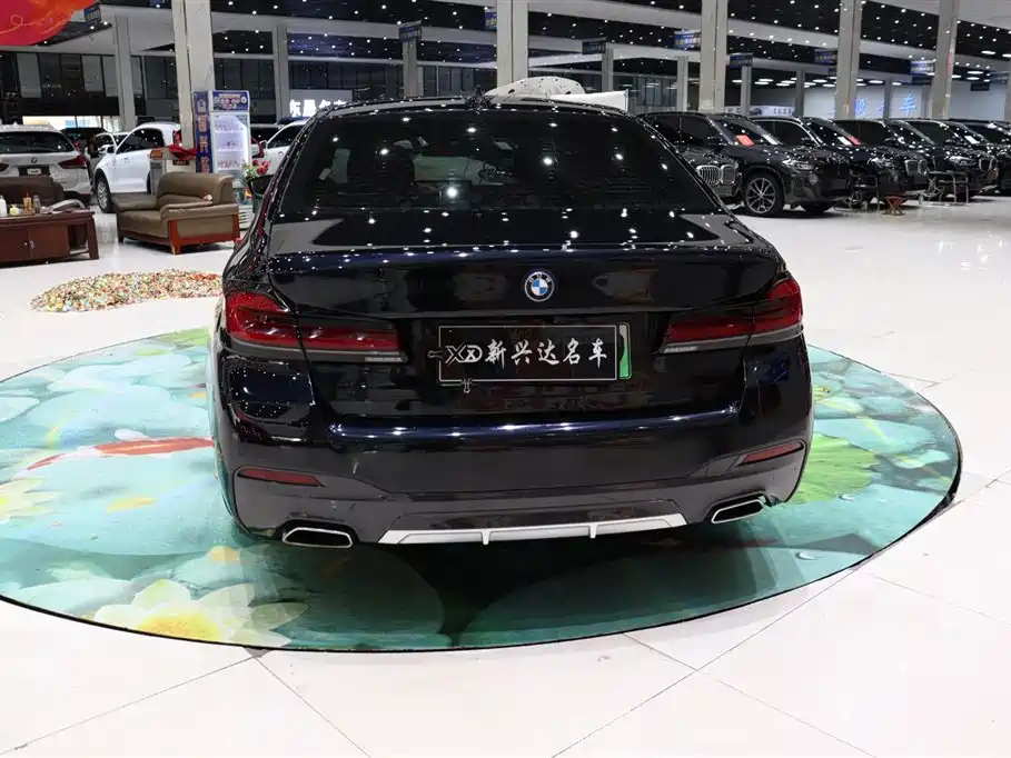 BMW 5 Series New Energy 2023