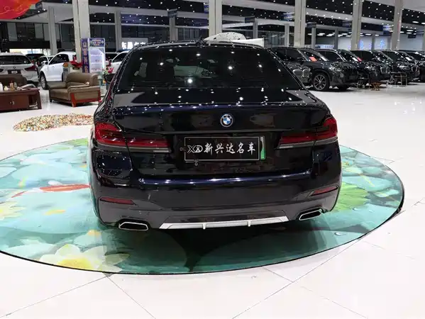BMW 5 Series New Energy 2023
