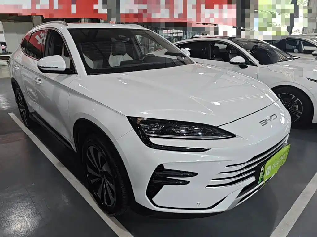 BYD PLUS New Energy 2024 — фото 4