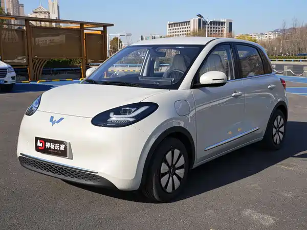 Wuling Bingo 2024
