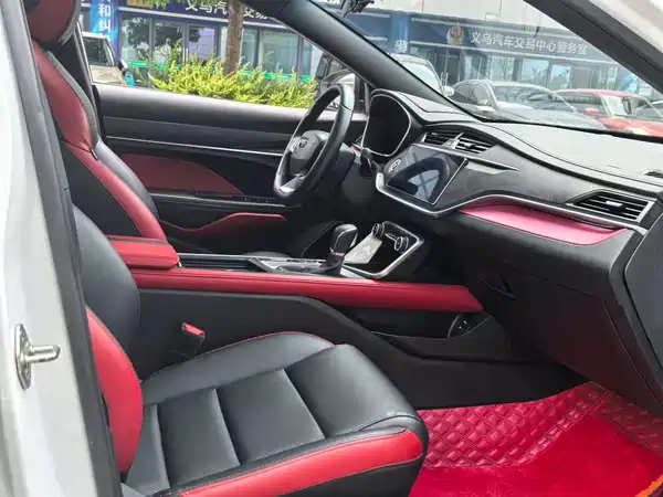 Geely Binrui 2021