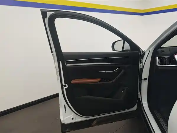 BYD Song PLUS New Energy 2023