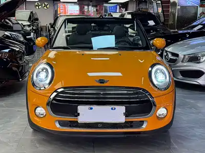 MINI MINI 2017