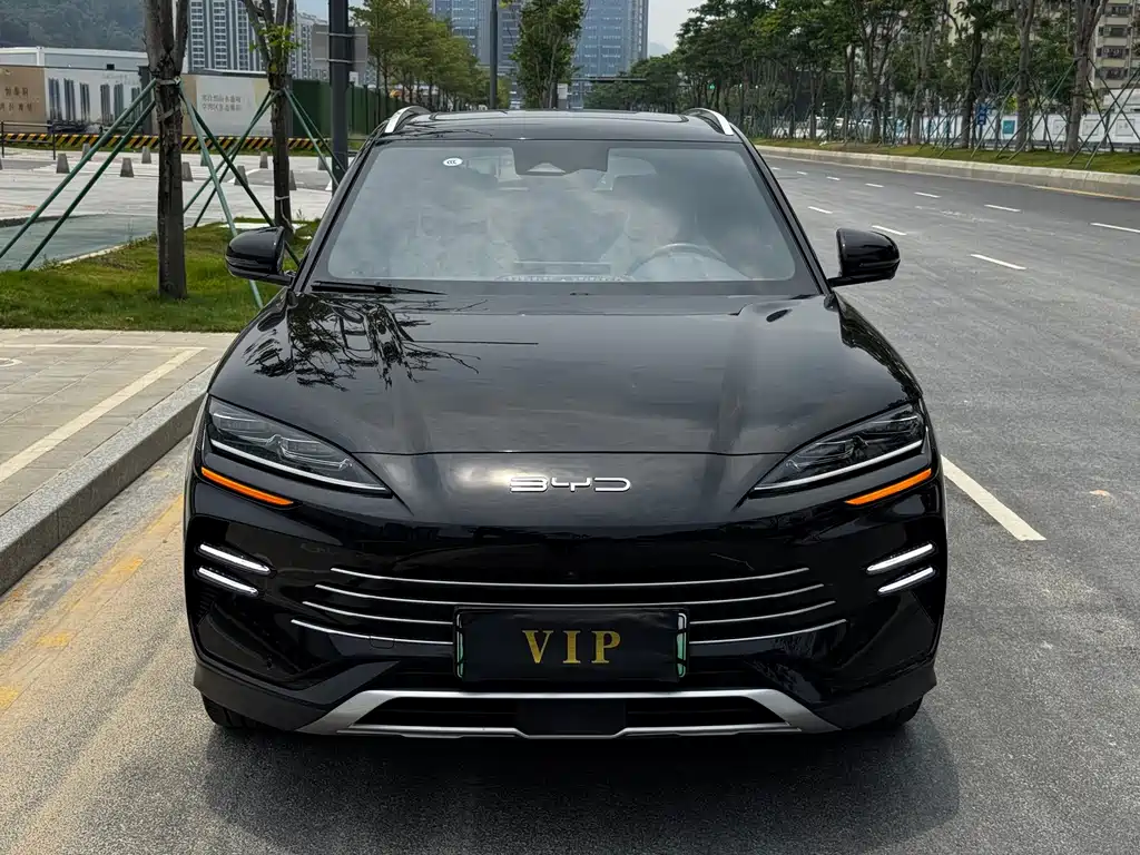 BYD Song PLUS New Energy 2024 — фото 4