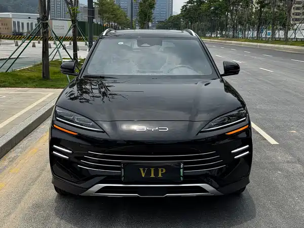 BYD Song PLUS New Energy 2024