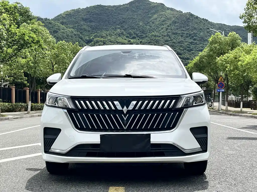 Wuling Jiachen 2024