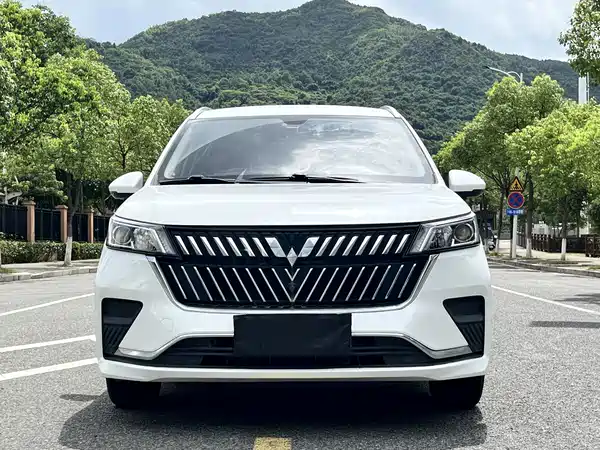 Wuling Jiachen 2024