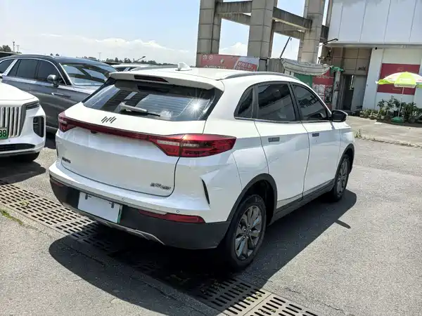 WM Motor EX5 2019