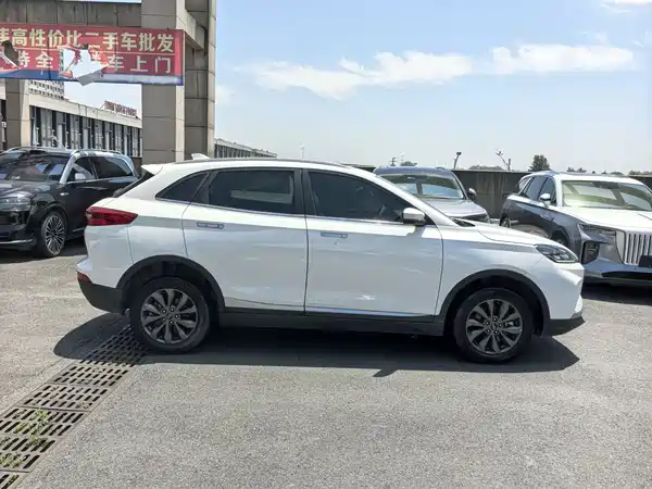 WM Motor EX5 2019