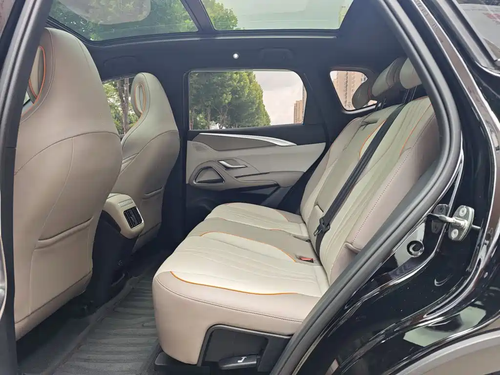 BYD Pro New Energy 2024 — фото 13