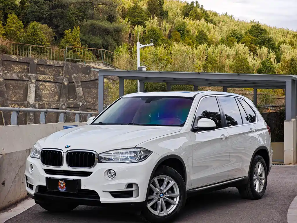 BMW X5 2017 — фото 1