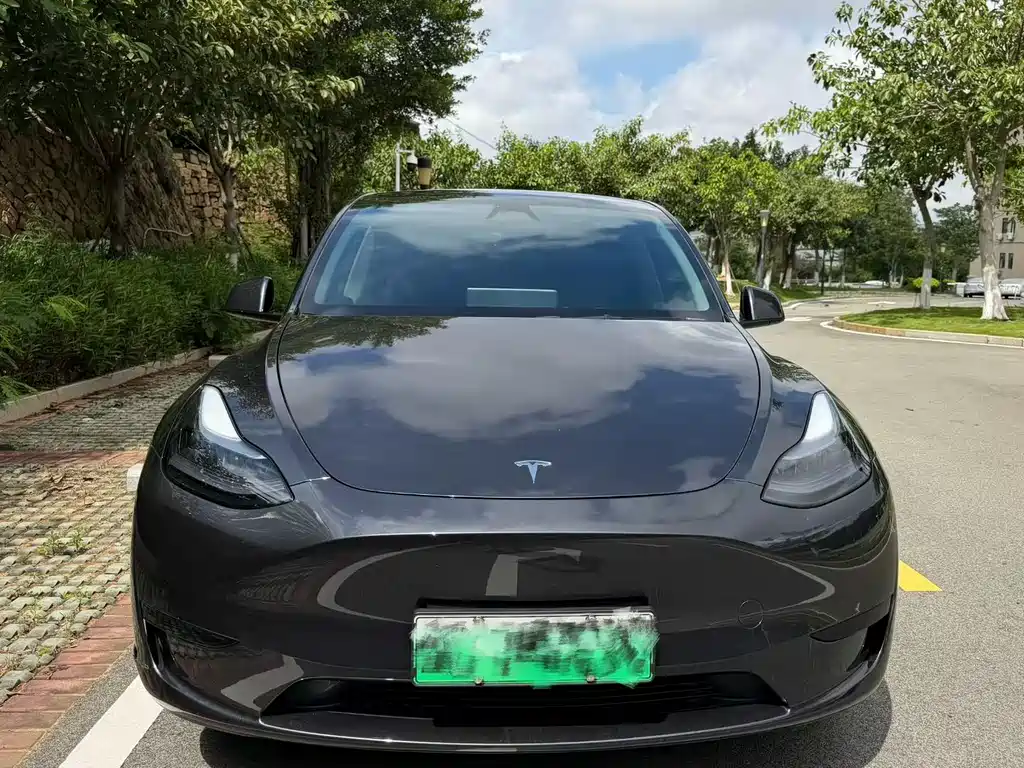 Tesla Model Y 2024 — фото 2