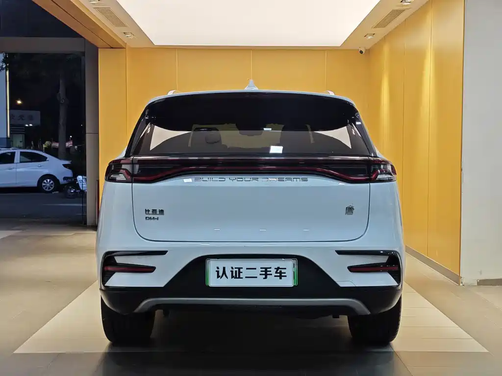 BYD Tang New Energy 2023 — фото 30