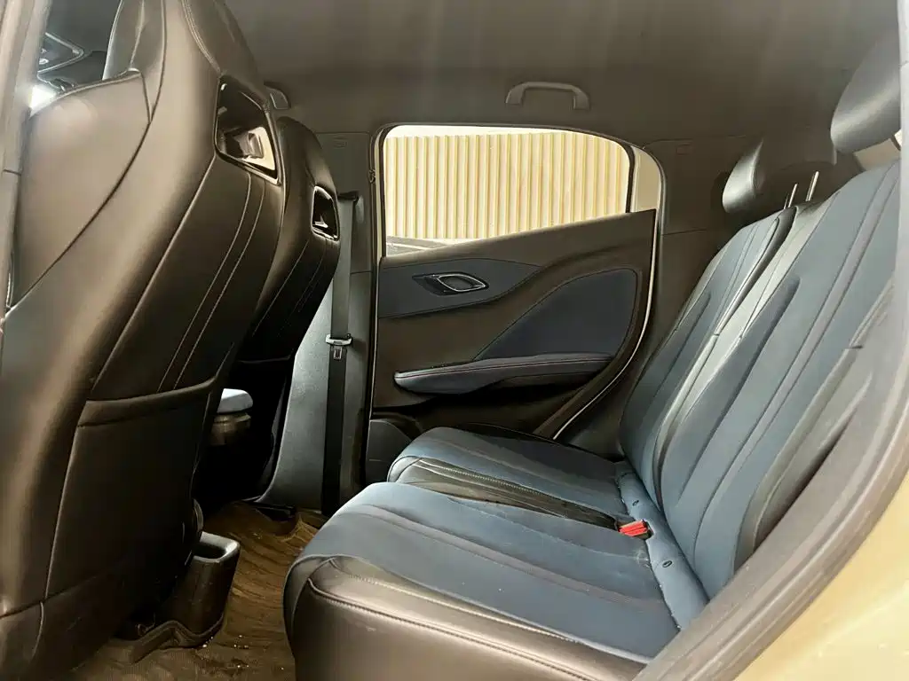 BYD Seagull 2024