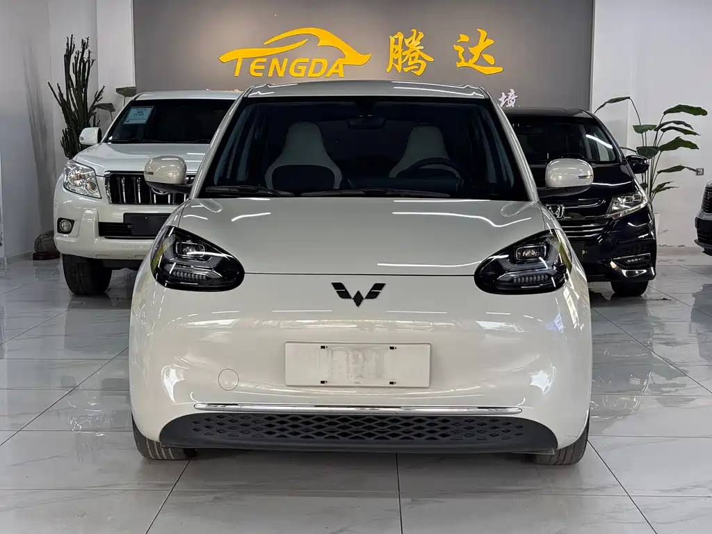 Wuling Bingo 2024