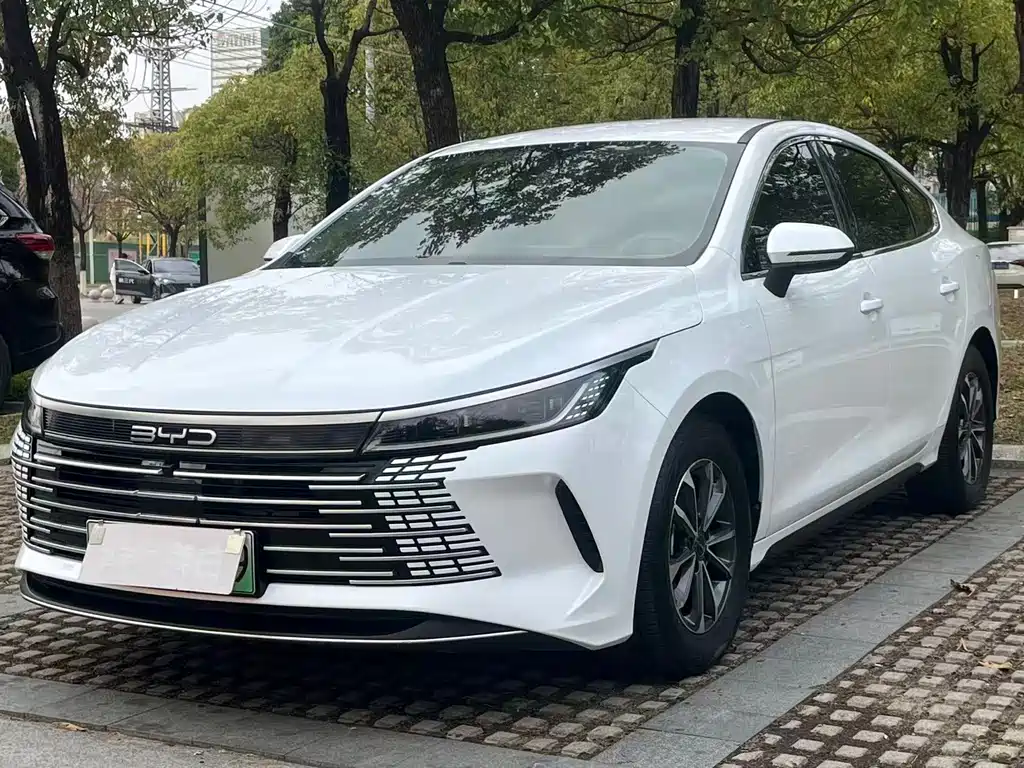 BYD Destroyer 05 2024 — фото 1