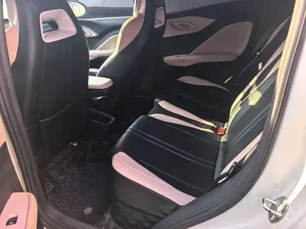 BYD Seagull 2024