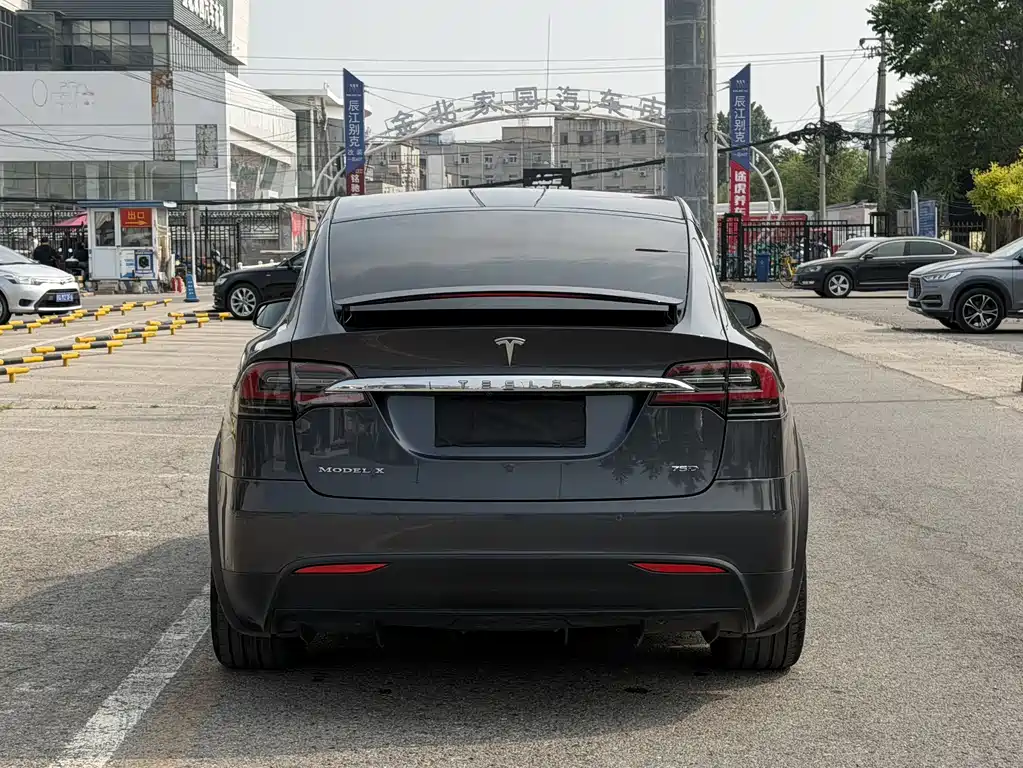 Tesla Model X 2017 — фото 5