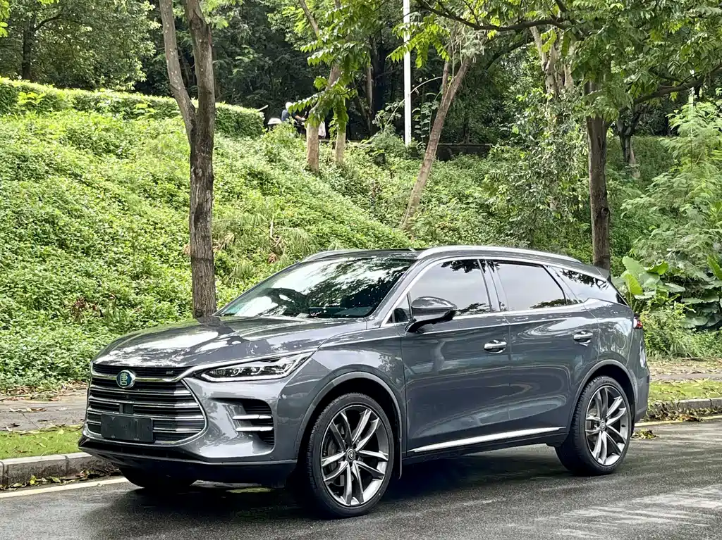BYD Tang New Energy 2020 — фото 1