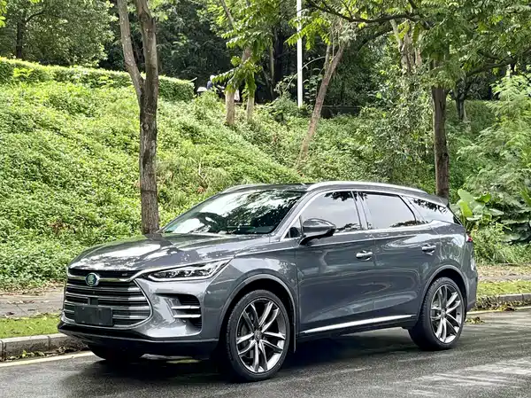 BYD Tang New Energy 2020