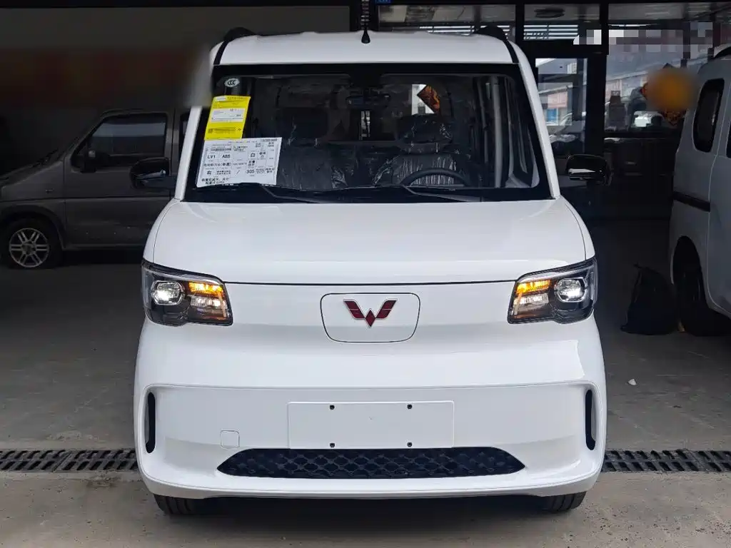 Wuling Zhiguang New Energy 2026