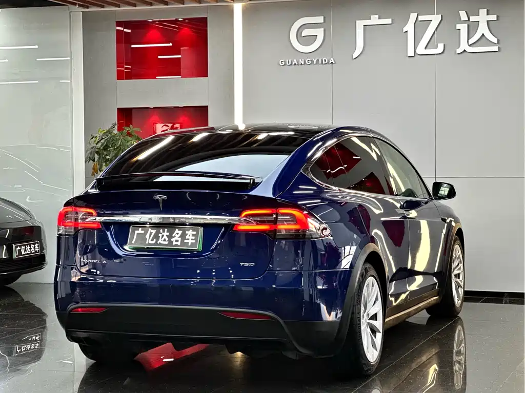 Tesla Model X 2019 — фото 25