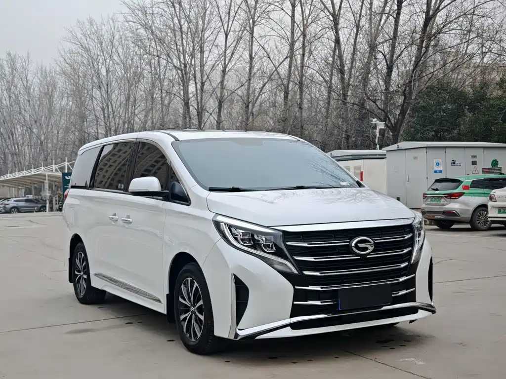 GAC Motor Trumpchi M8 2024 — фото 3