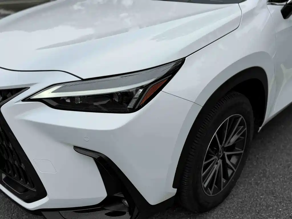 Lexus NX 2022 — фото 9