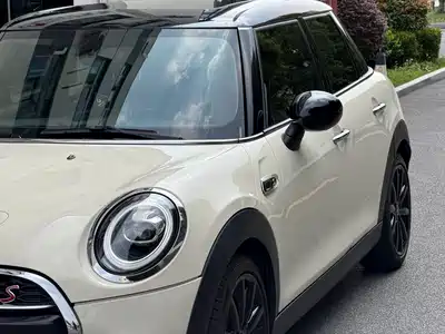 MINI MINI 2019