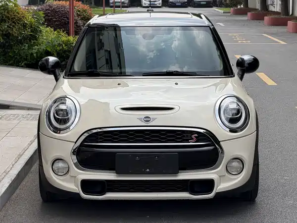 MINI MINI 2019