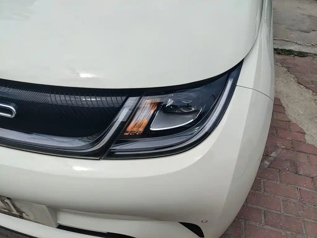 BYD Dolphin 2023 — фото 18