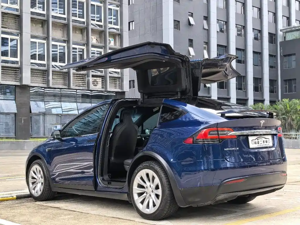 Tesla Model X 2017 — фото 10