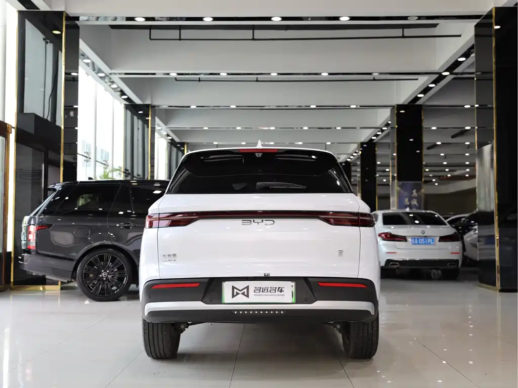BYD Pro New Energy 2025 — фото 15