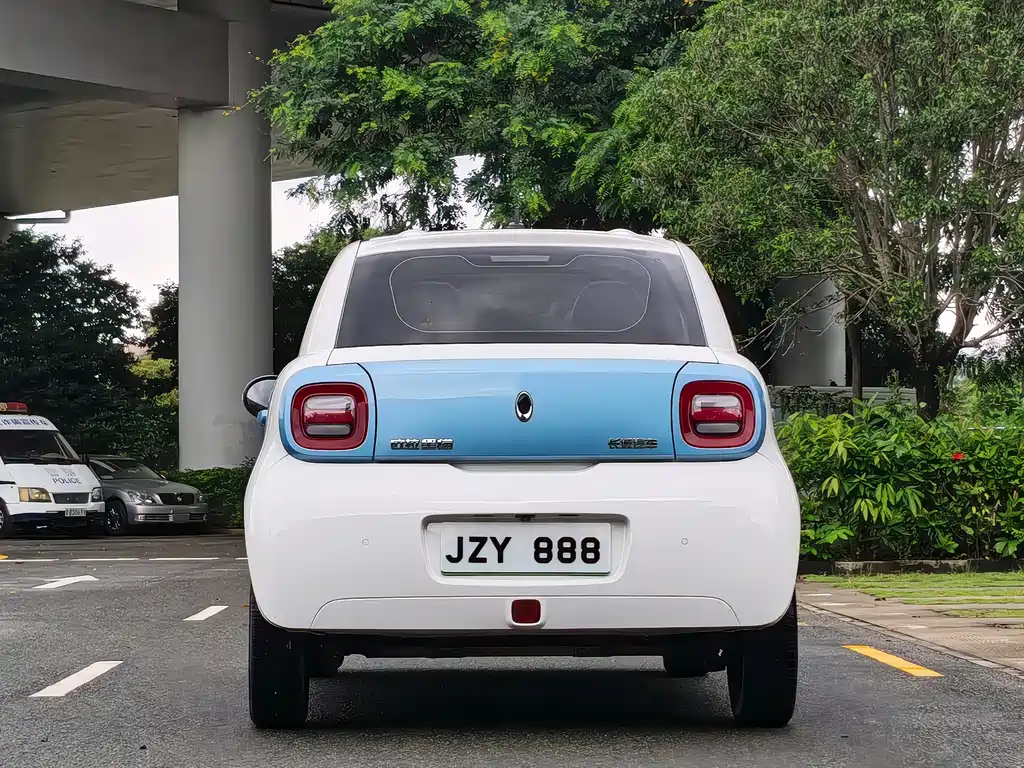 Ora Black Cat 2020