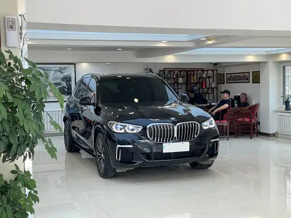 BMW X5 2022