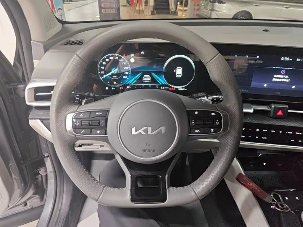 Kia Lion Platinum Expands The Boundary 2024 — фото 11