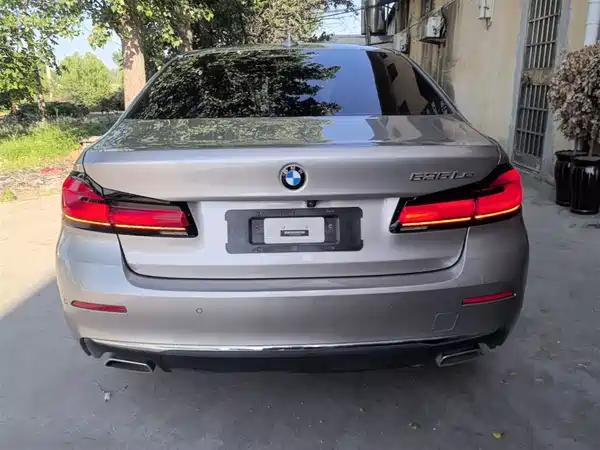 BMW 5 Series New Energy 2022