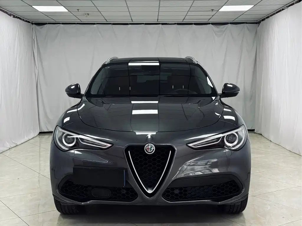 Alfa Romeo Stelvio 2019 — фото 2
